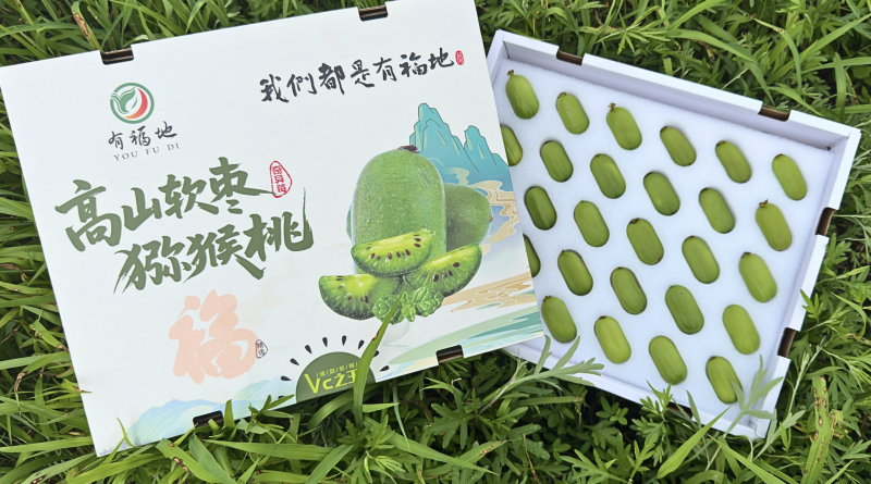 【省内包邮】软枣猕猴桃对接电商超市欢迎进店咨询