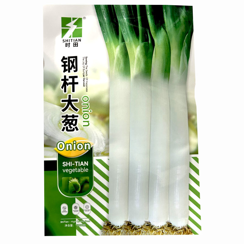 钢杆大葱种子章丘大葱种子耐寒耐热直立葱白长大田基地