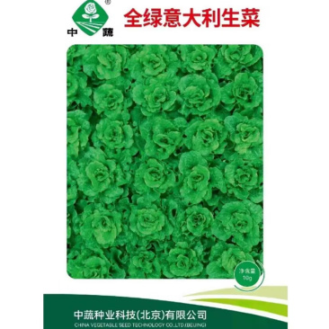 中蔬全绿意大利生菜种子水培四季生菜种籽孑农家春夏秋冬季菜