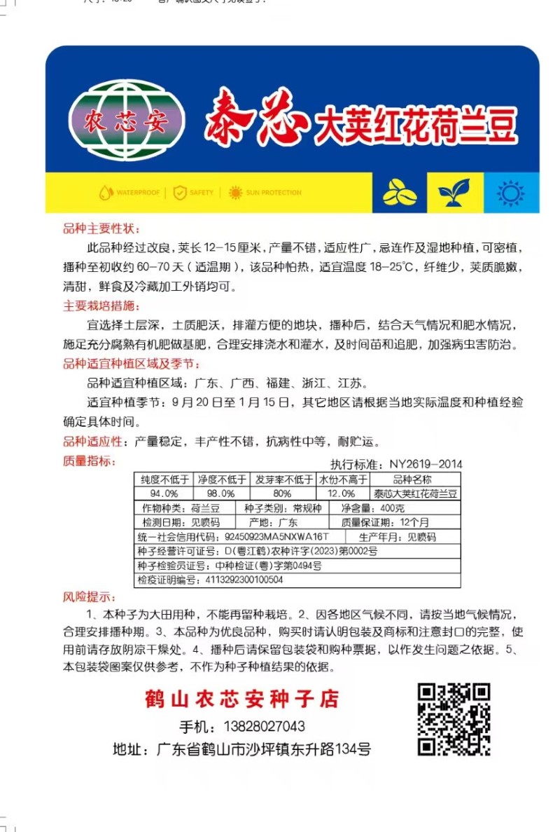 泰芯红花大荚荷兰豆种子
