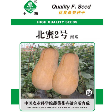 北蜜2号二号南瓜种子蔬菜种孑蔬菜四季南瓜春季农科院菜种籽