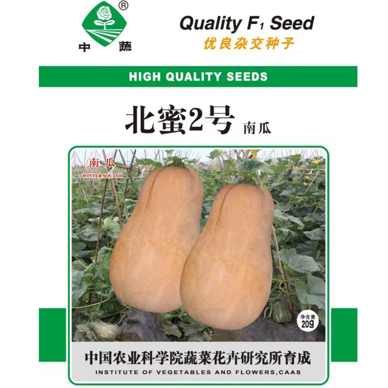 北蜜2号二号南瓜种子蔬菜种孑蔬菜四季南瓜春季农科院菜种籽