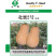 北蜜2号二号南瓜种子蔬菜种孑蔬菜四季南瓜春季农科院菜种籽