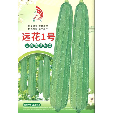 远花1号大肉花点丝瓜种子蔬菜广东水瓜籽儿四季春播爬藤庭院
