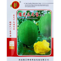 瓜之宝九号西瓜种子水果黄瓤西瓜种籽四季绿皮黄心麒麟瓜种子