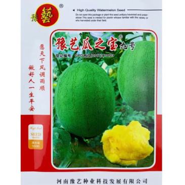 瓜之宝九号西瓜种子水果黄瓤西瓜种籽四季绿皮黄心麒麟瓜种子