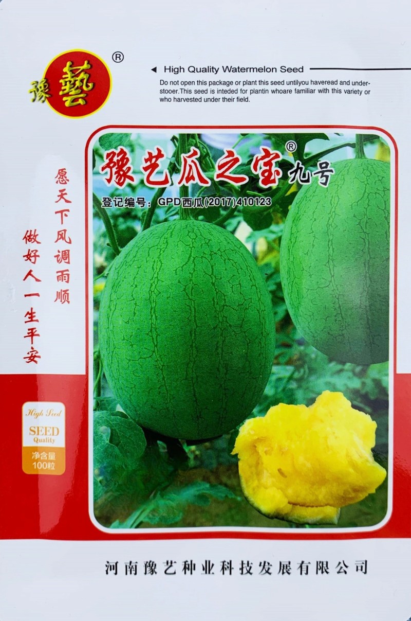 瓜之宝九号西瓜种子水果黄瓤西瓜种籽四季绿皮黄心麒麟瓜种子