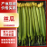 云南鲜花丝瓜大量上市，产地直发，对接全国欢迎咨询采购