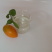生态氮钾肥高氮肥生物肥水溶肥