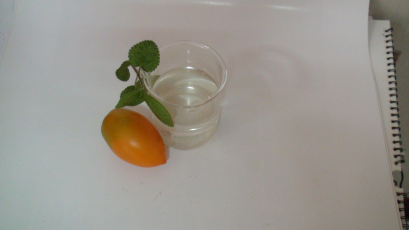 生态氮钾肥高氮肥生物肥水溶肥