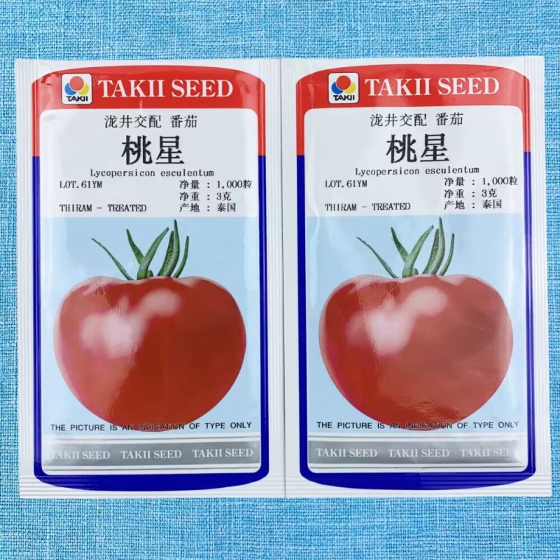 桃星番茄种子传统西红柿籽口感番茄春季四季种籽毛粉番茄种子