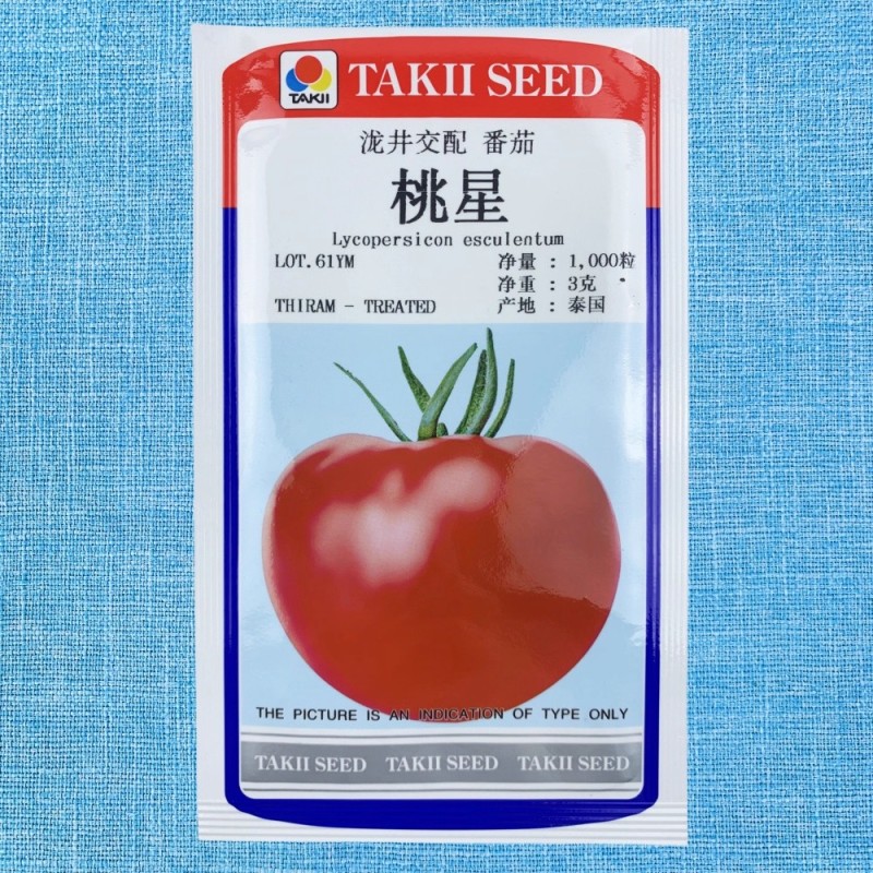 桃星番茄种子传统西红柿籽口感番茄春季四季种籽毛粉番茄种子