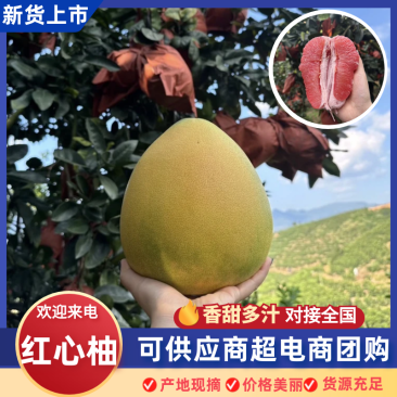 三红柚广西三红柚大量供应提供一条龙服务代发全国市场