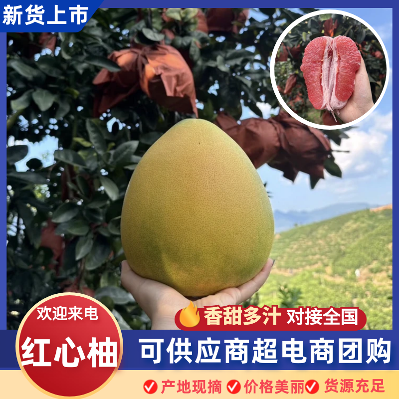 三红柚广西三红柚大量供应提供一条龙服务代发全国市场