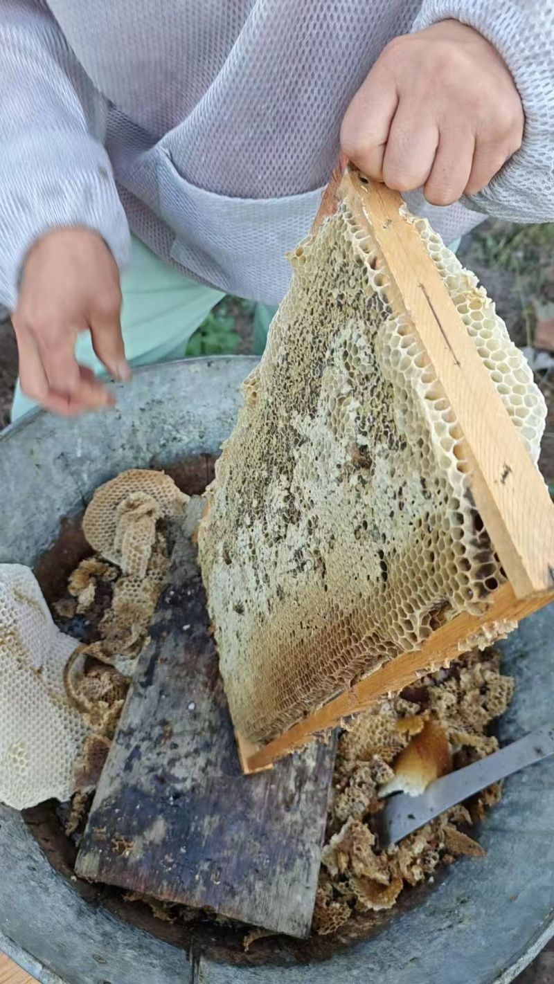 【自产自销】黑龙江百花深山养殖保质保量欢迎来电咨询