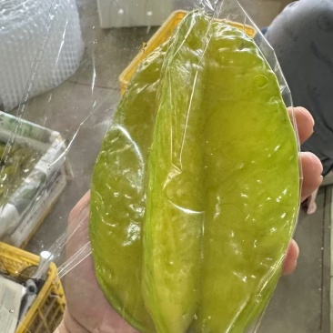 【实力推荐】精品杨桃货源充足全国发货量大从优致电联系