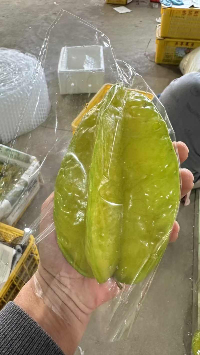 【实力推荐】精品杨桃货源充足全国发货量大从优致电联系