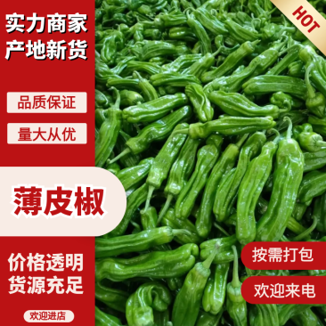 费用薄皮辣椒山东薄皮辣椒产地大降价供应对接电商市场
