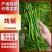 线椒山东优质线椒大量供应可视频看货代发全国市场