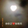 朱业嘉的一亩田店铺