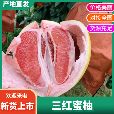 【福建蜜柚】优质红心蜜柚供应社区团购商超市场