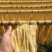 黄豆腐竹基地直销量大质优价格优惠一手货源欢迎咨询