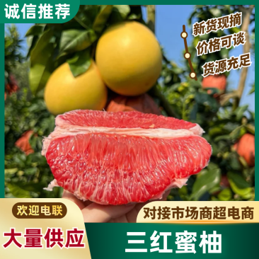 【实力供货】广西蜜柚皮薄多汁万亩果园持续供货代发全国
