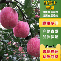 【9年老店】原产地直供-红富士-苹果一手货源可全国发货