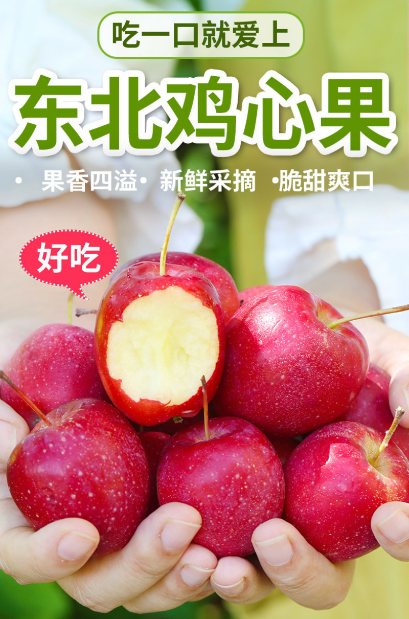 东北鸡心果一件代发产地直发一手货源对接各大电商平台