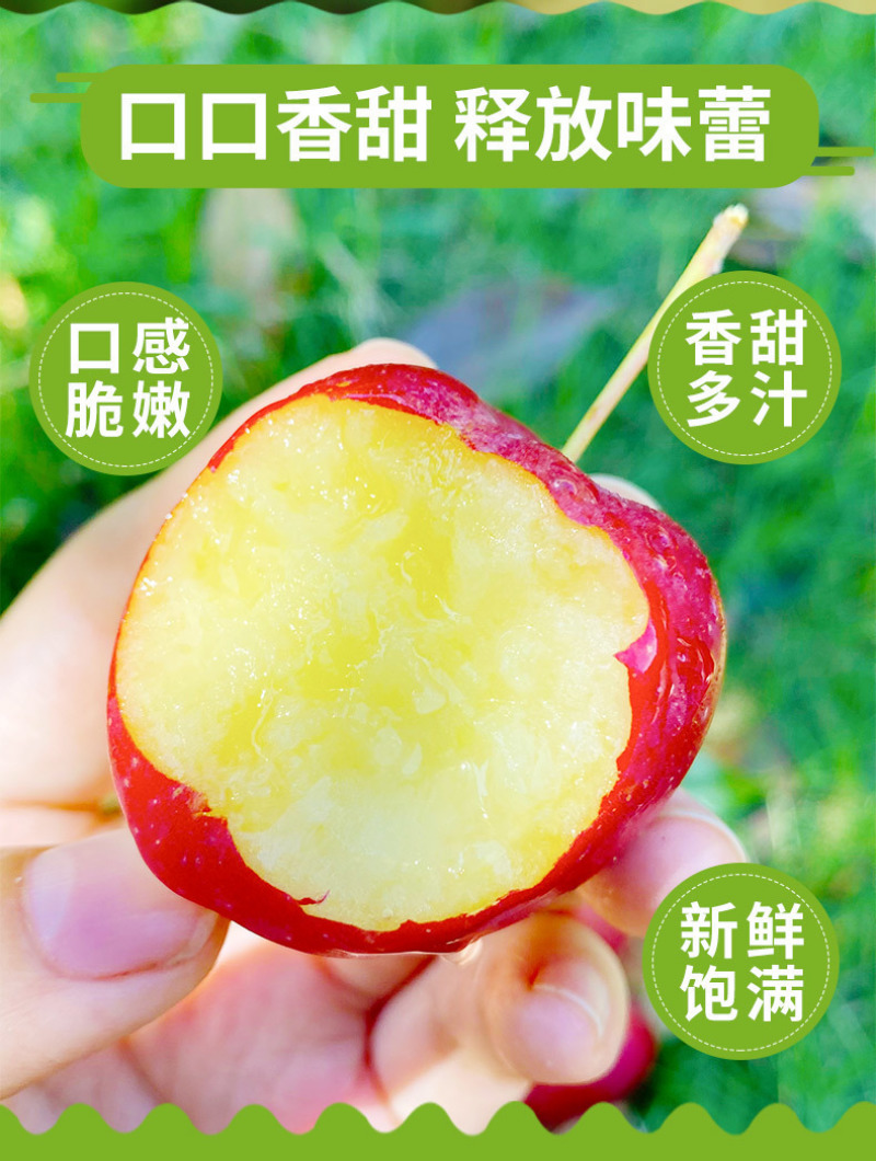 东北鸡心果一件代发产地直发一手货源对接各大电商平台