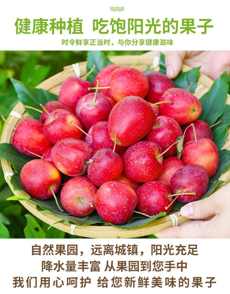 东北鸡心果一件代发产地直发一手货源对接各大电商平台
