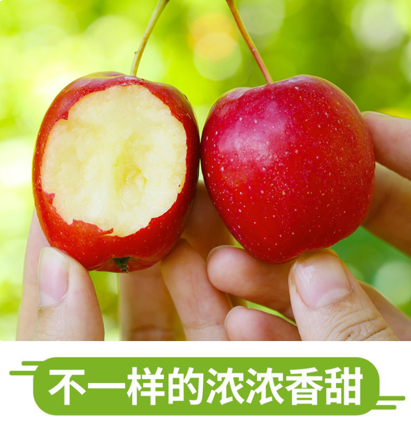 东北鸡心果一件代发产地直发一手货源对接各大电商平台