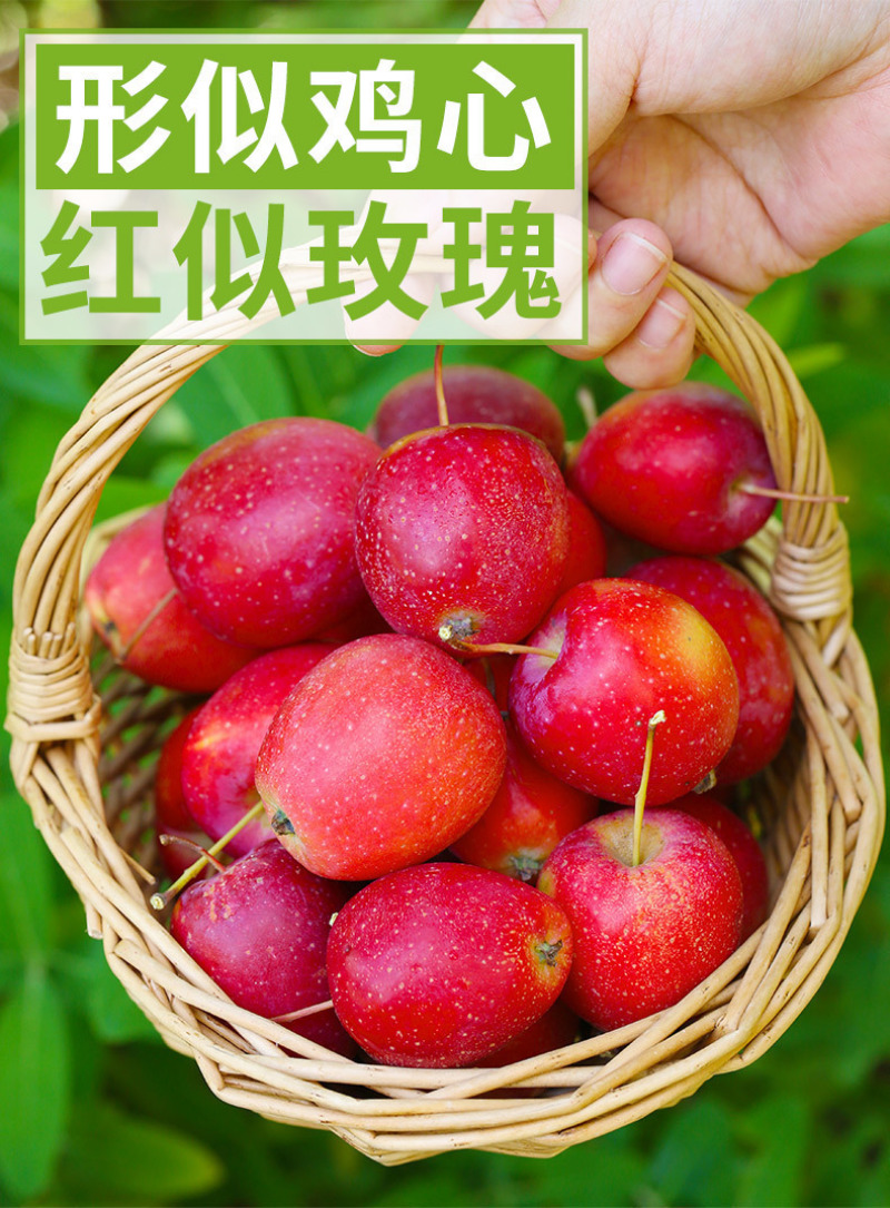 东北鸡心果一件代发产地直发一手货源对接各大电商平台