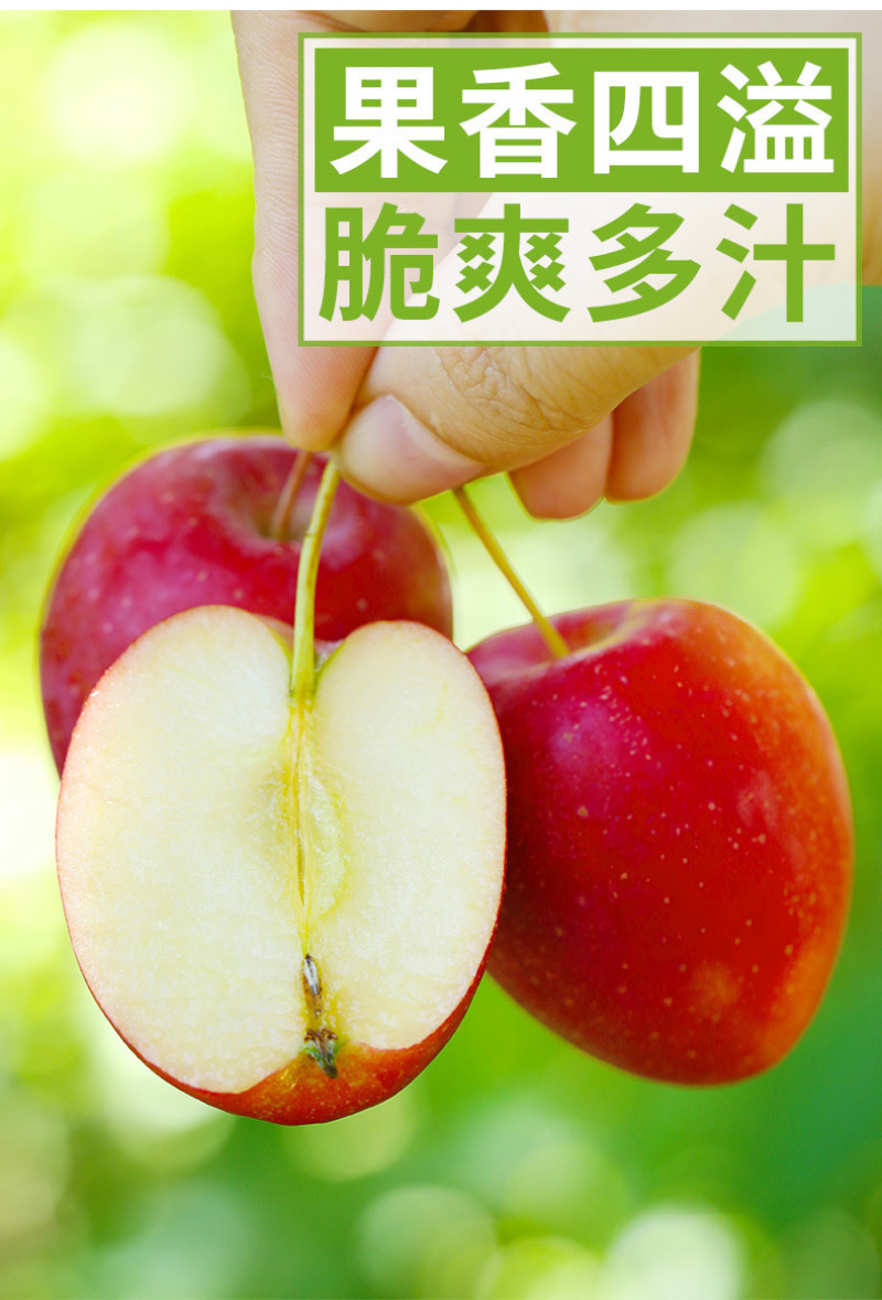东北鸡心果一件代发产地直发一手货源对接各大电商平台