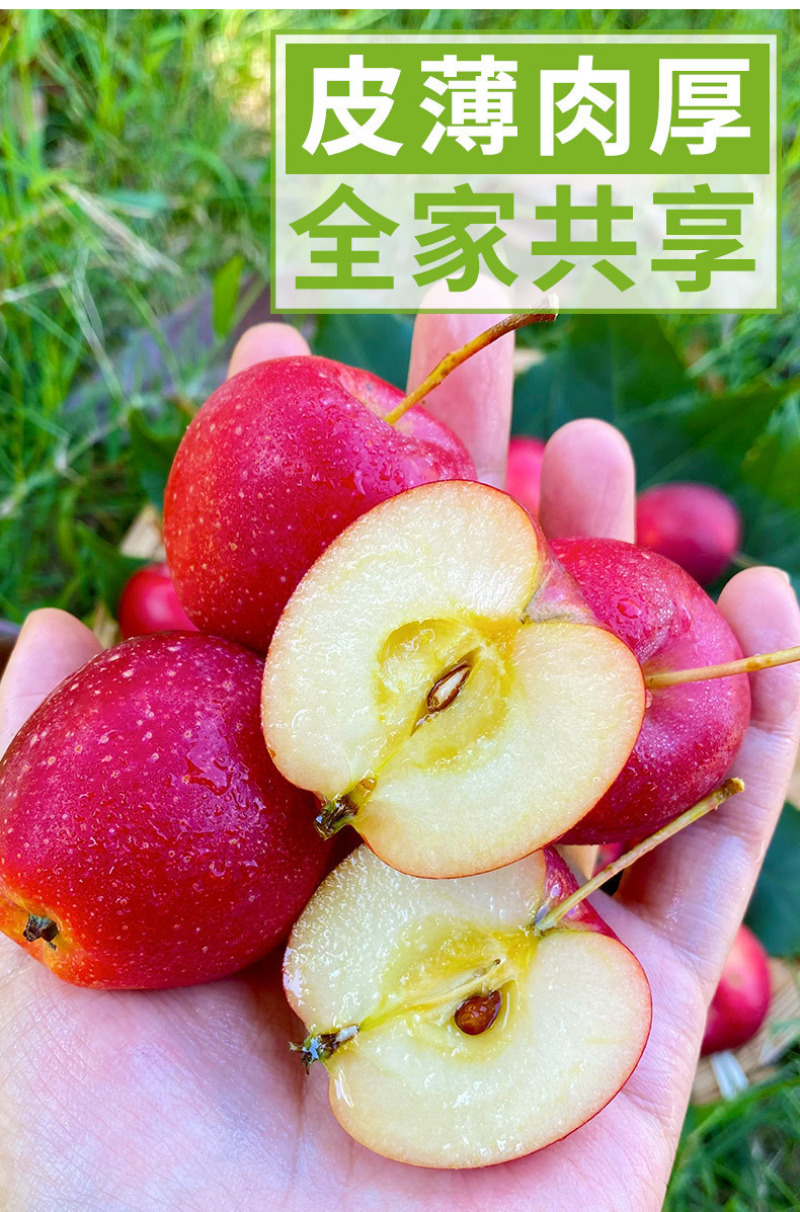 东北鸡心果一件代发产地直发一手货源对接各大电商平台