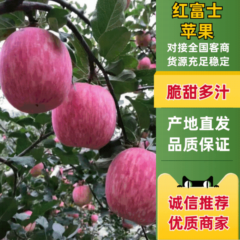 【老店推荐】冰糖心苹果支持视频看货电话订购