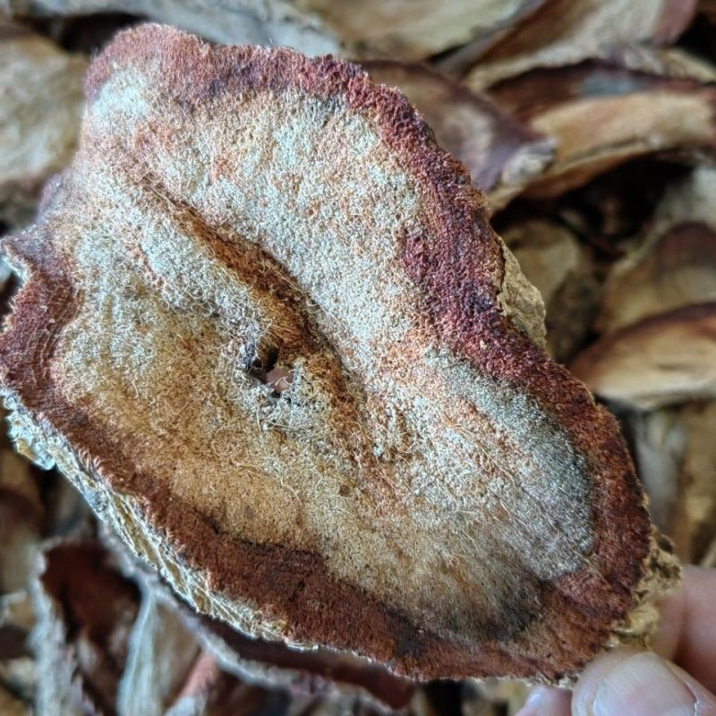 红葛根红高颗艳紫铆泰国艳紫铆泡酒泡茶红高颗红葛根