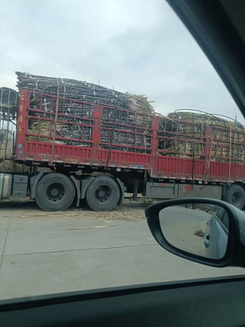 史上***，三毛钱一车，任装，没有任何毛病，靓货特价
