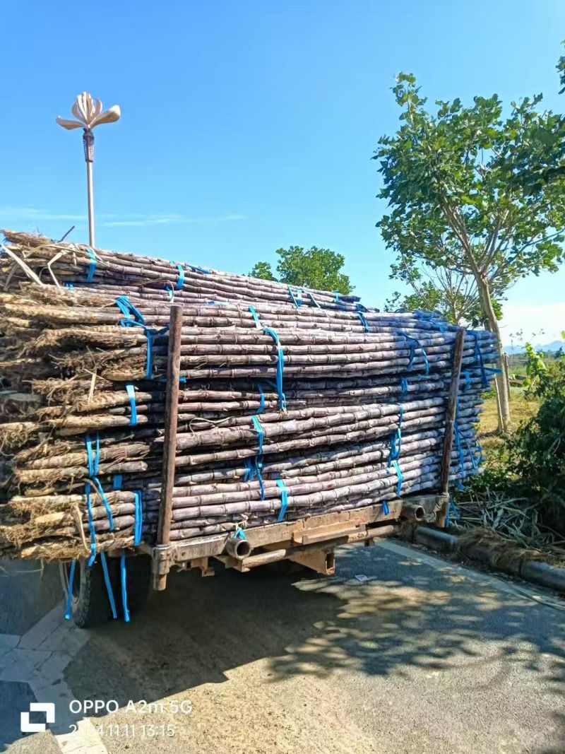 史上***，三毛钱一车，任装，没有任何毛病，靓货特价