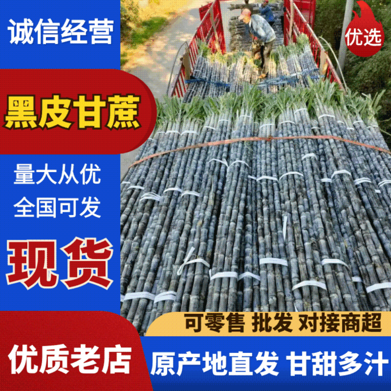 韶关翁源甘蔗专业对标电商，加工厂，批发市场