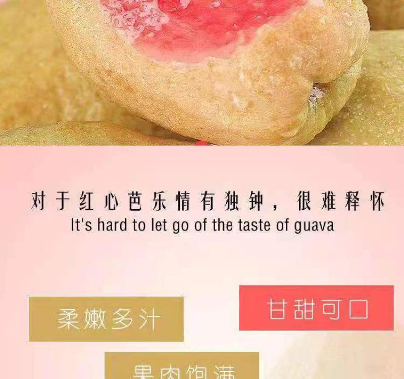 红心芭乐番石榴特价奶茶店限量**包邮