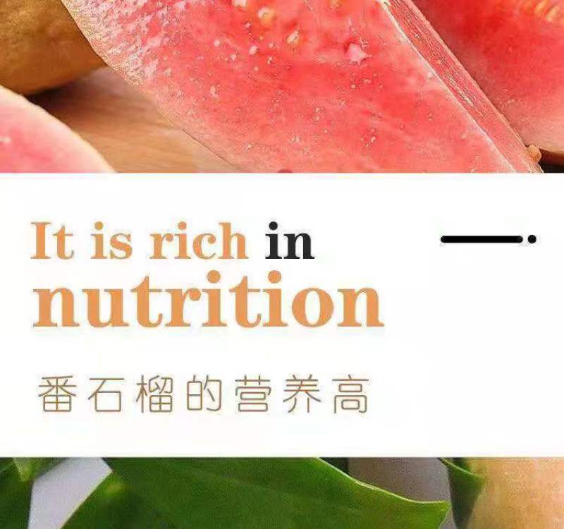 红心芭乐番石榴特价奶茶店限量**包邮