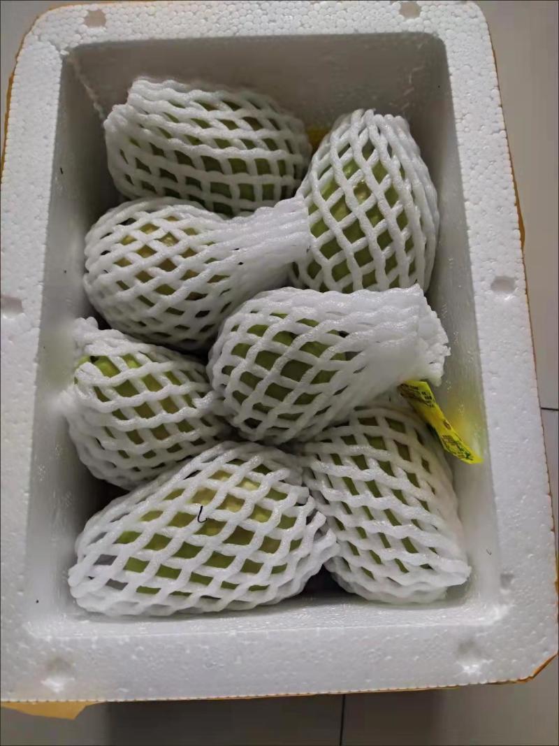 白心芭乐番石榴奶茶店专用五斤装