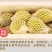 白心芭乐番石榴奶茶店专用五斤装