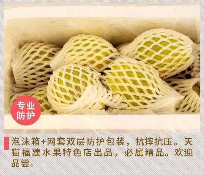 白心芭乐番石榴奶茶店专用五斤装