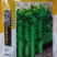 翠宝70天圆叶菜心种子矮脚粗条甜脆无渣晚熟甜菜苔种籽油绿
