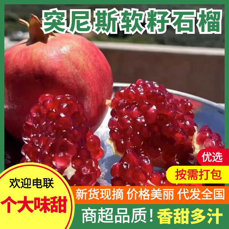 四川大凉山大量现货突尼斯软籽石榴大量供应123级果工厂果