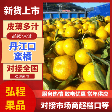 精品蜜橘产地直发代发全国支持市场商超可看货