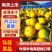 精品蜜橘产地直发代发全国支持市场商超可看货