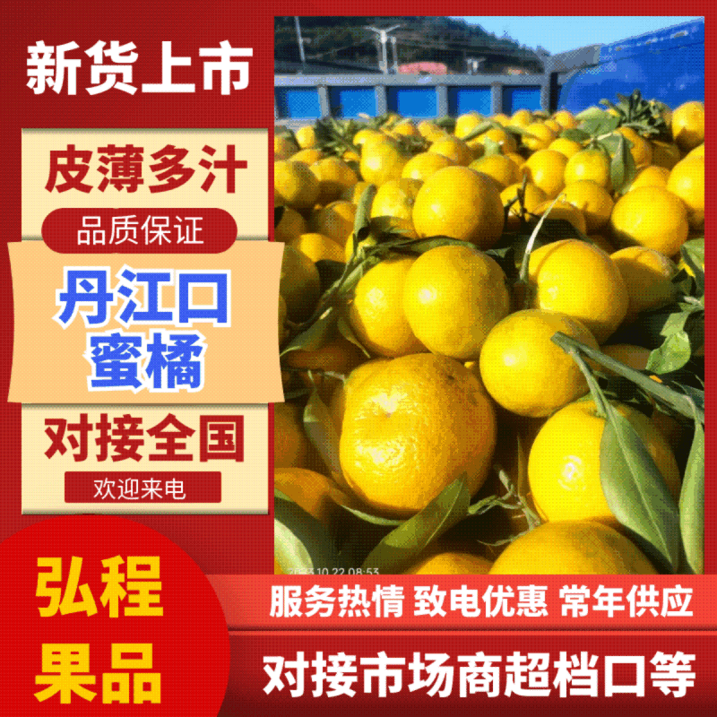 精品蜜橘产地直发代发全国支持市场商超可看货